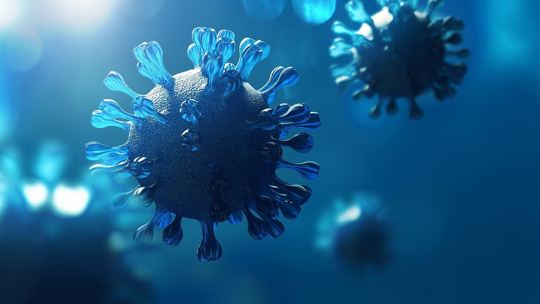 The persistent threat: Listeria control in food factory environments