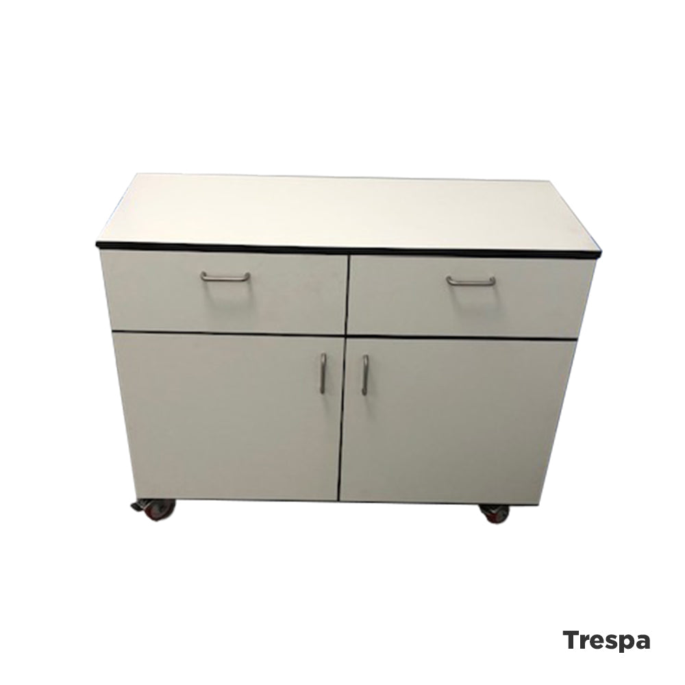 Laboratory under-bench 2 door and 2 drawer cupboard 1000mm wide