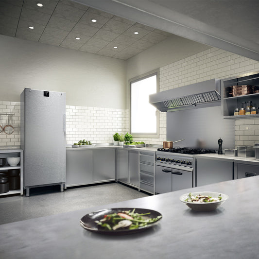 Liebherr FFFCvg 6501 Perfection food freezer NoFrost 544 litre capacity