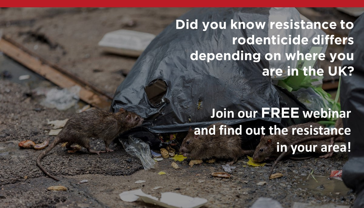 Take charge of pest control: join us for our FREE webinar!