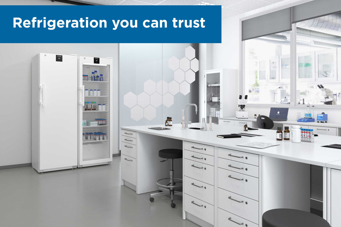 Finding the right refrigerator for your storage needs