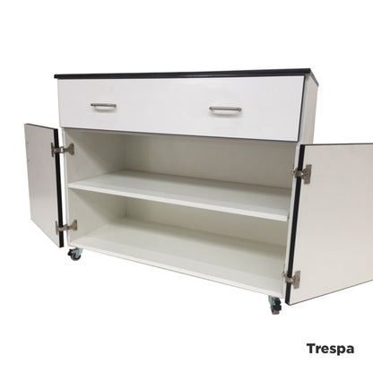 Laboratory under-bench double-door and drawer cupboard 1000mm wide