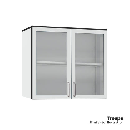 Laboratory wall cupboard 1000mm wide