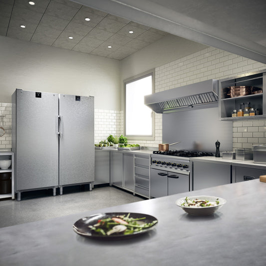 Liebherr FRFCvg 6501 Perfection food reach-In refrigerator with bottom compressor 655 litre capacity